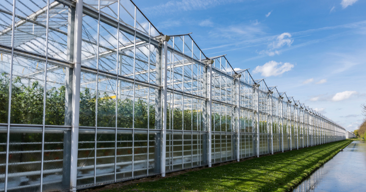 スマート農業を採り入れた海外の事例を紹介